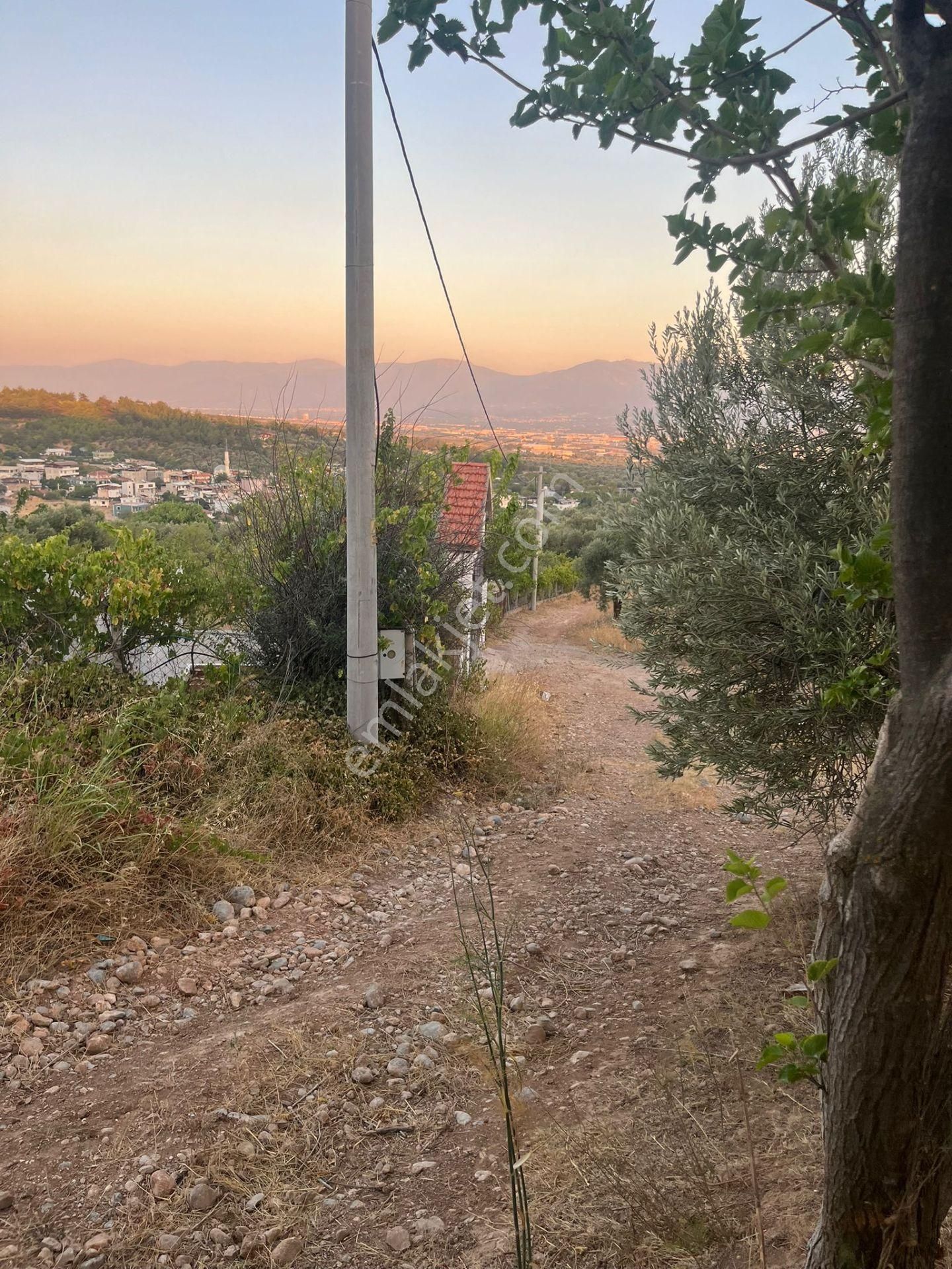 İzmir Torbalı Gold Emlaktan Kemalpaşada Satılık Bahçe - Görsel 4