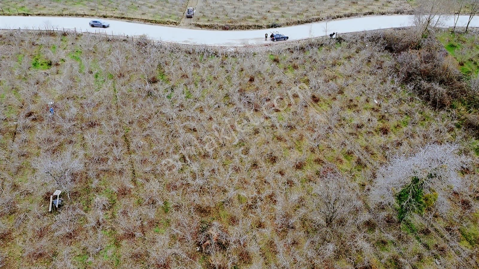 Ahmet Eminoğlu 'dan Akçay'da Satılık Arsa! - Görsel 2