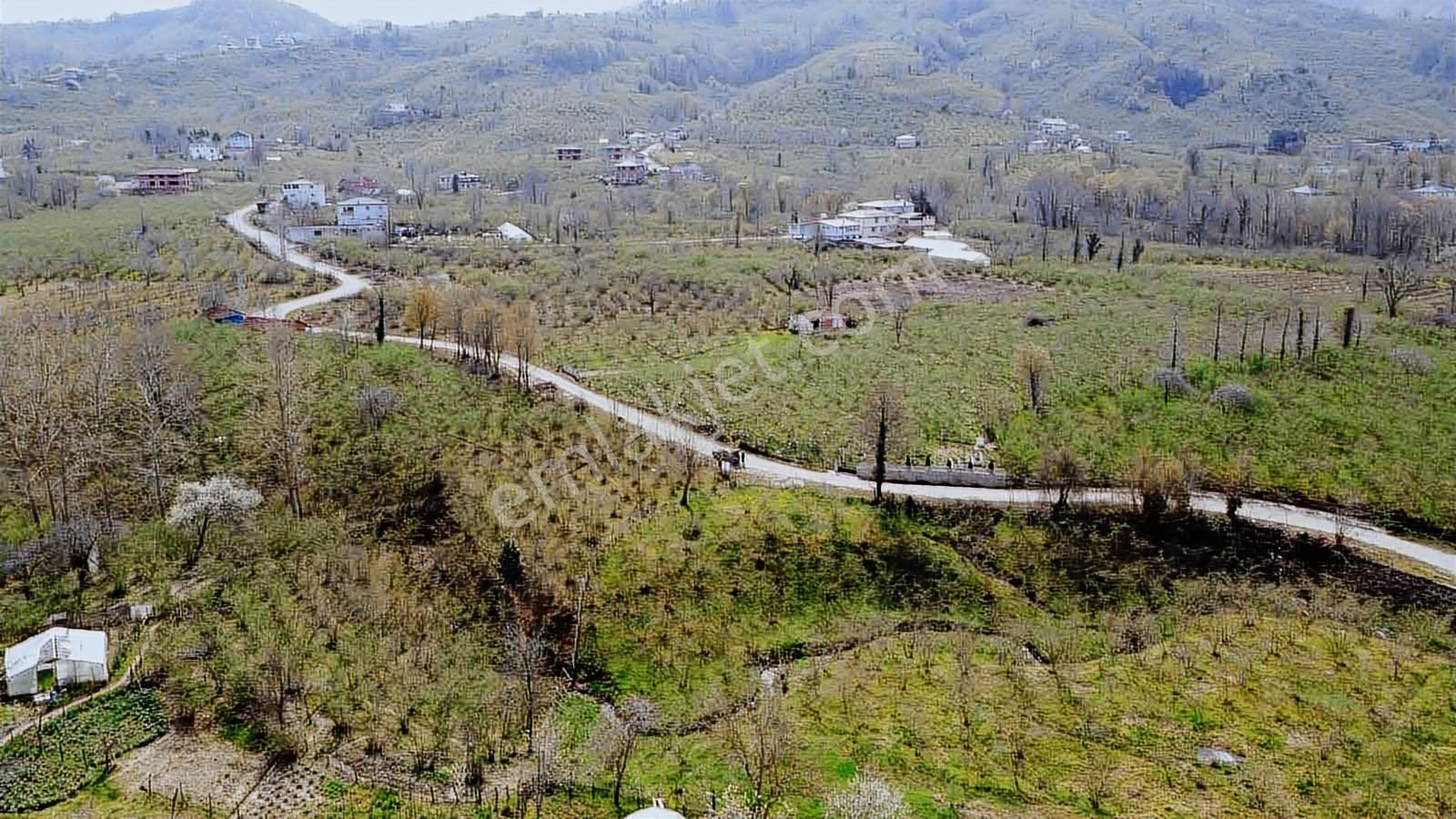 Terme Kozluk Müstakil Fırsatı..! - Görsel 16
