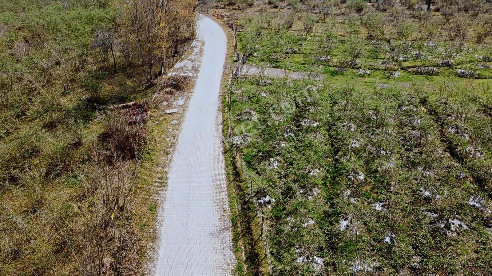 Terme Kozluk Müstakil Fırsatı..! - Görsel 8