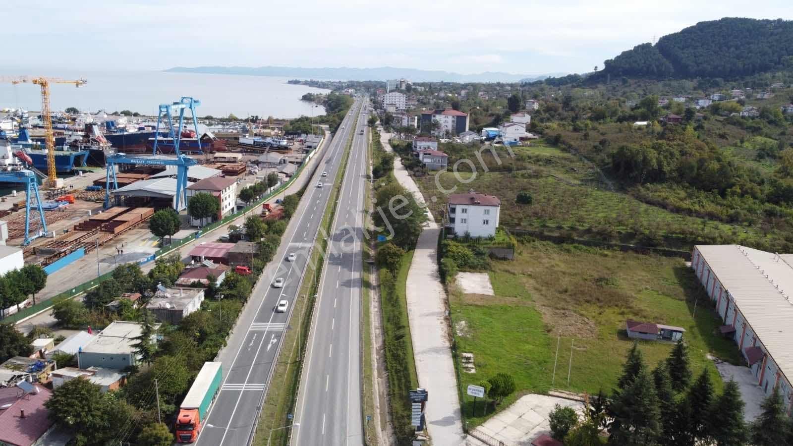 Ordu Ünye Liman Karşısı Yatırım Fırsatı Arsa! - Görsel 14