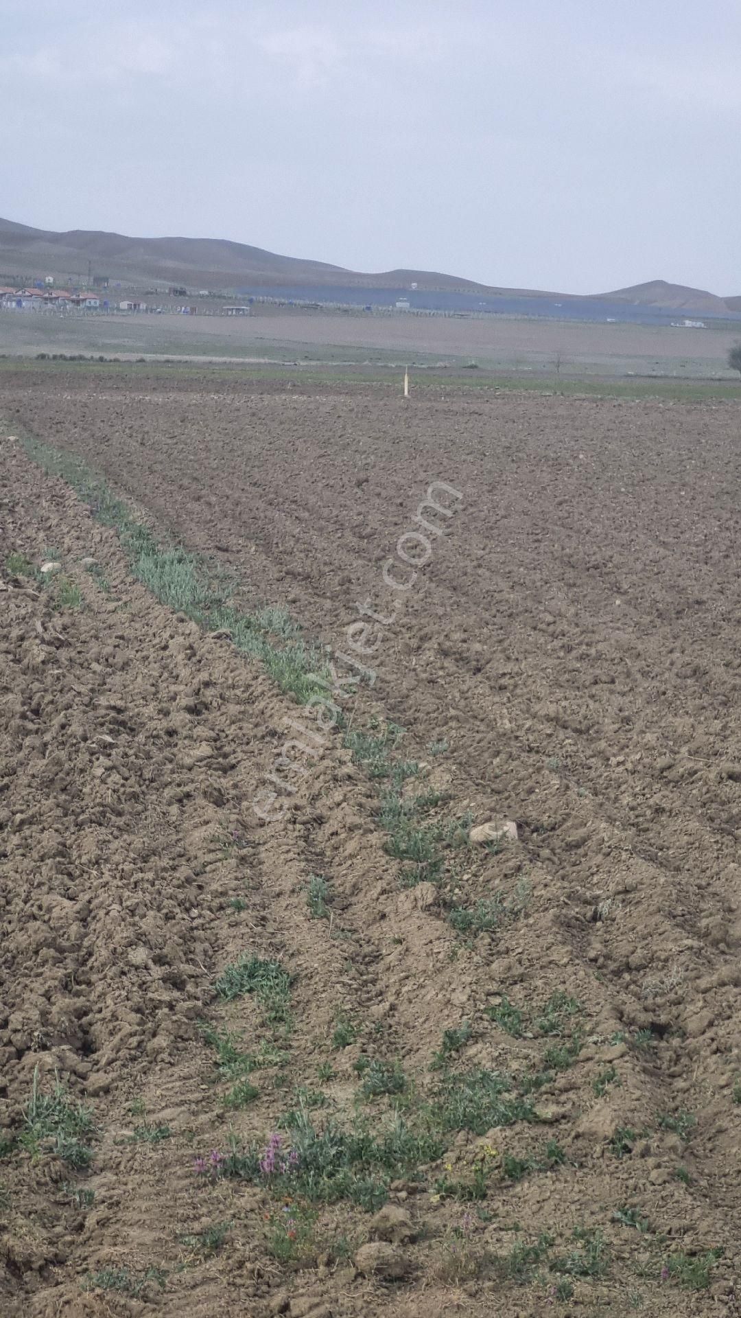 Ankara Gölbaşı Bağiçinde - Görsel 13