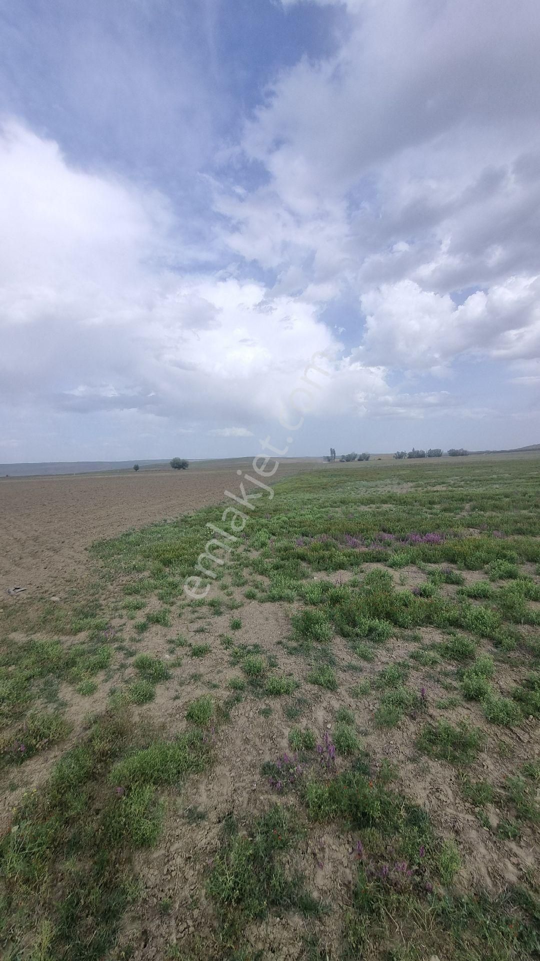 Ankara Gölbaşı Bağiçinde - Görsel 29