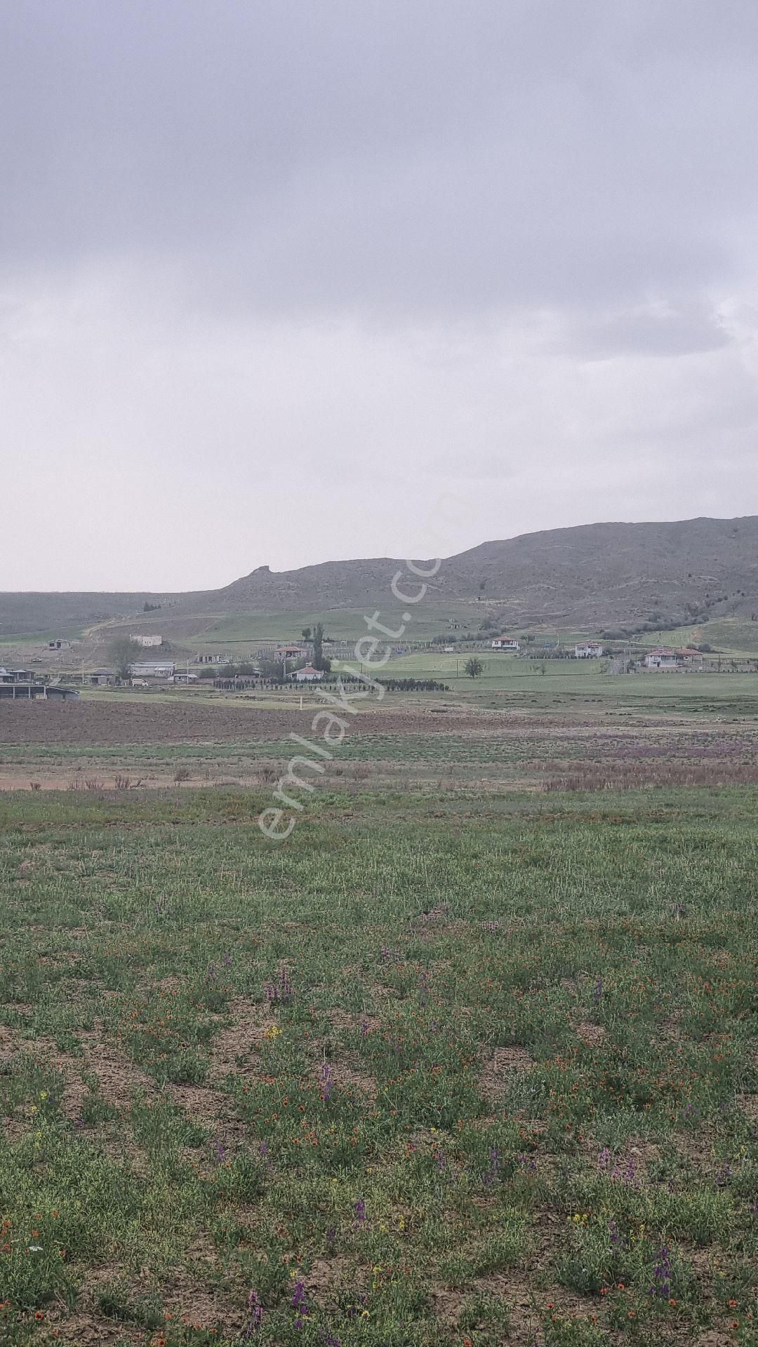 Ankara Gölbaşı Bağiçinde - Görsel 9