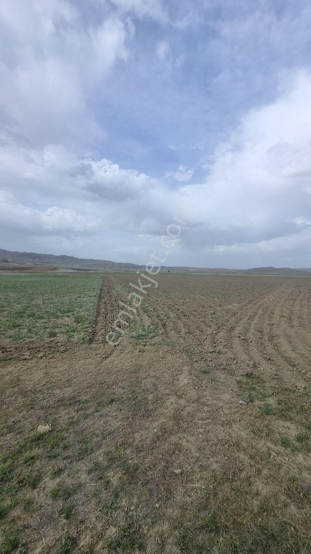 Ankara Gölbaşı Bağiçinde - Görsel 27