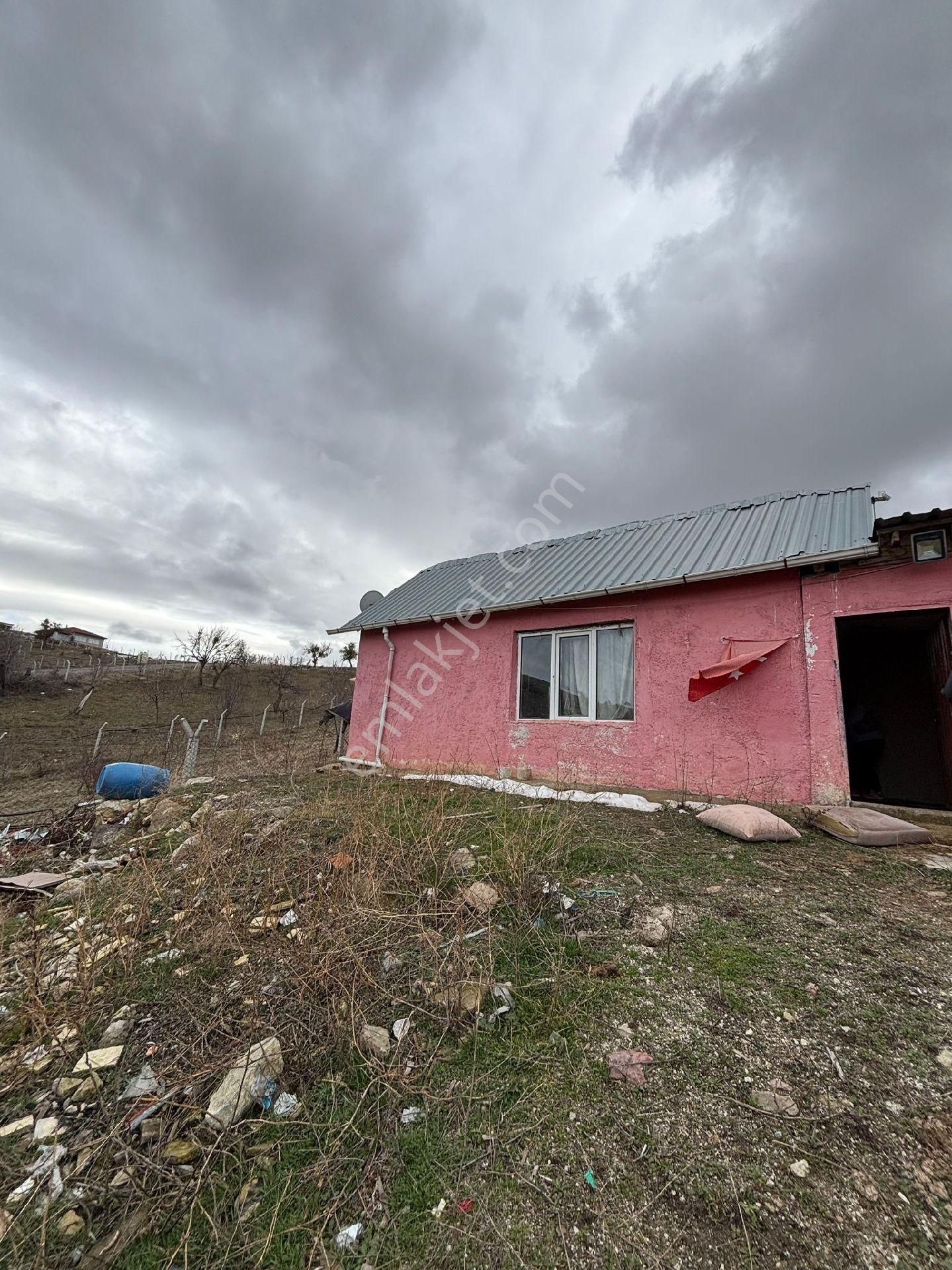 Kiralık Çiftlik Buyubas Ve Küçükbaş Hayvancılık Ruhsat Li Balumda - Görsel 6