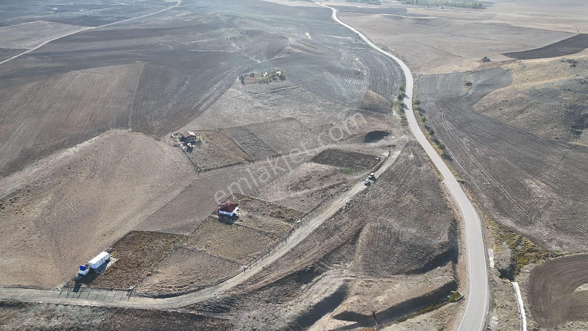 Ankara Gölbaşı Bağiçinde 1.633 Metre Hazır Bahçe - Görsel 18