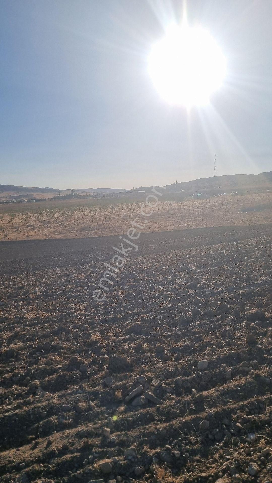 Ankara Gölbaşı Bağiçi Mahallesinde - Görsel 8