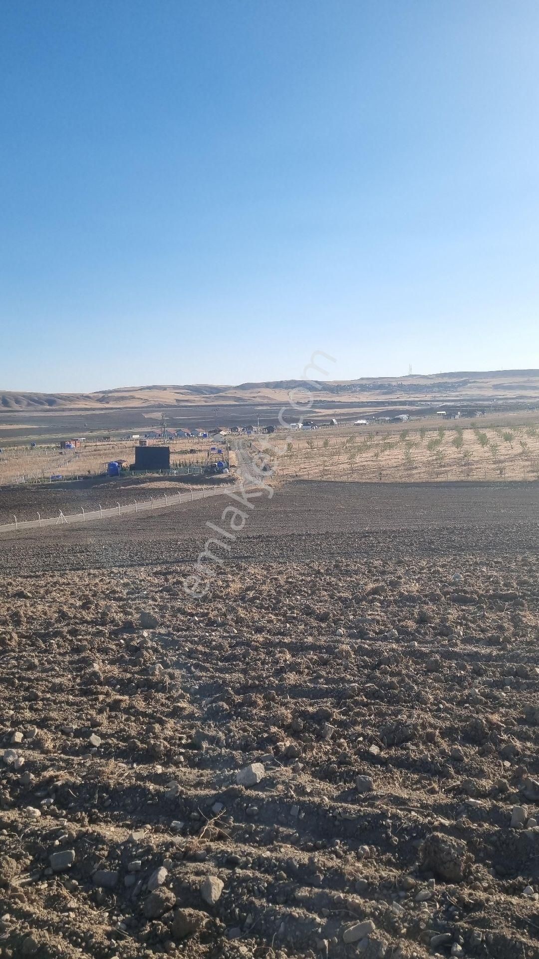 Ankara Gölbaşı Bağiçi Mahallesinde - Görsel 12