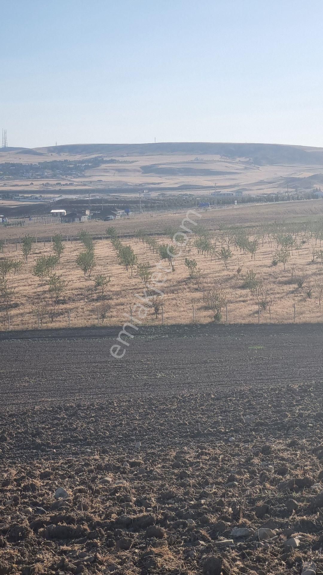 Ankara Gölbaşı Bağiçi Mahallesinde - Görsel 2