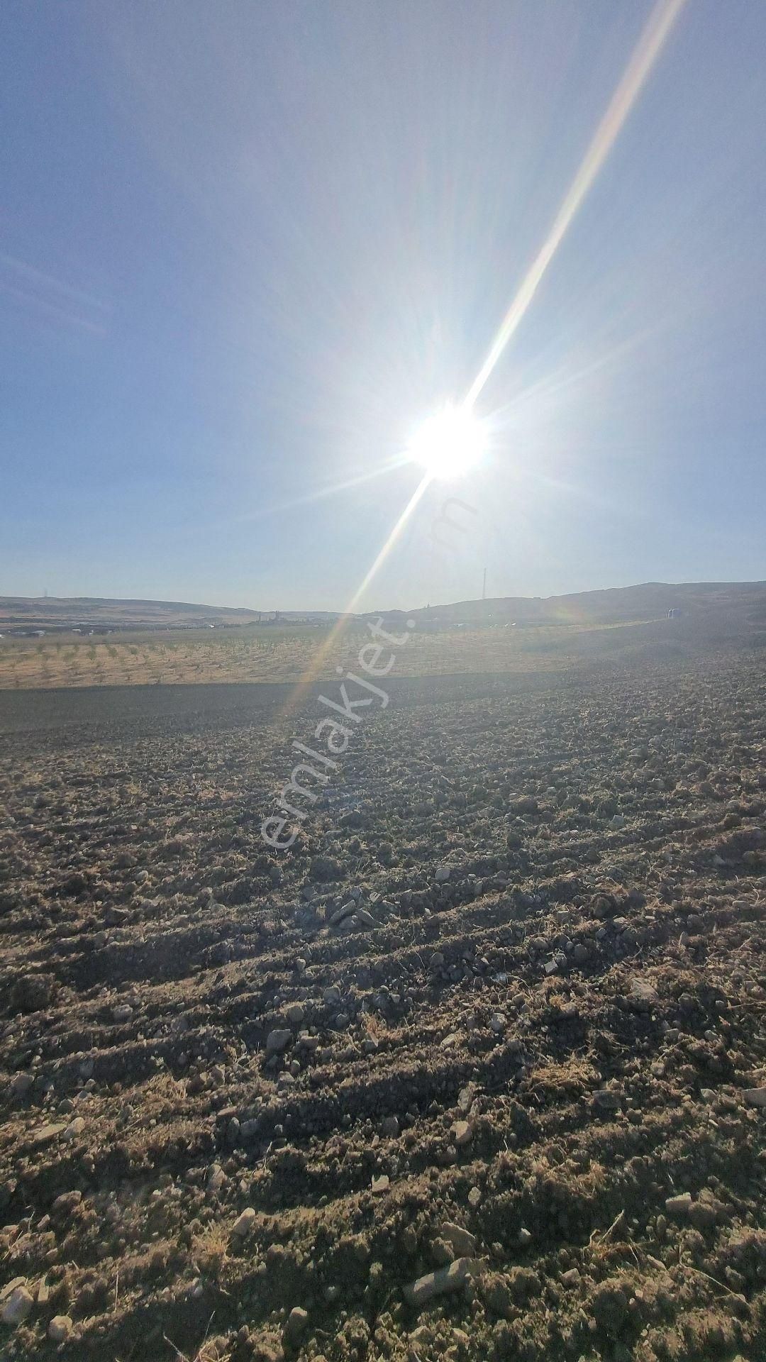 Ankara Gölbaşı Bağiçi Mahallesinde - Görsel 17