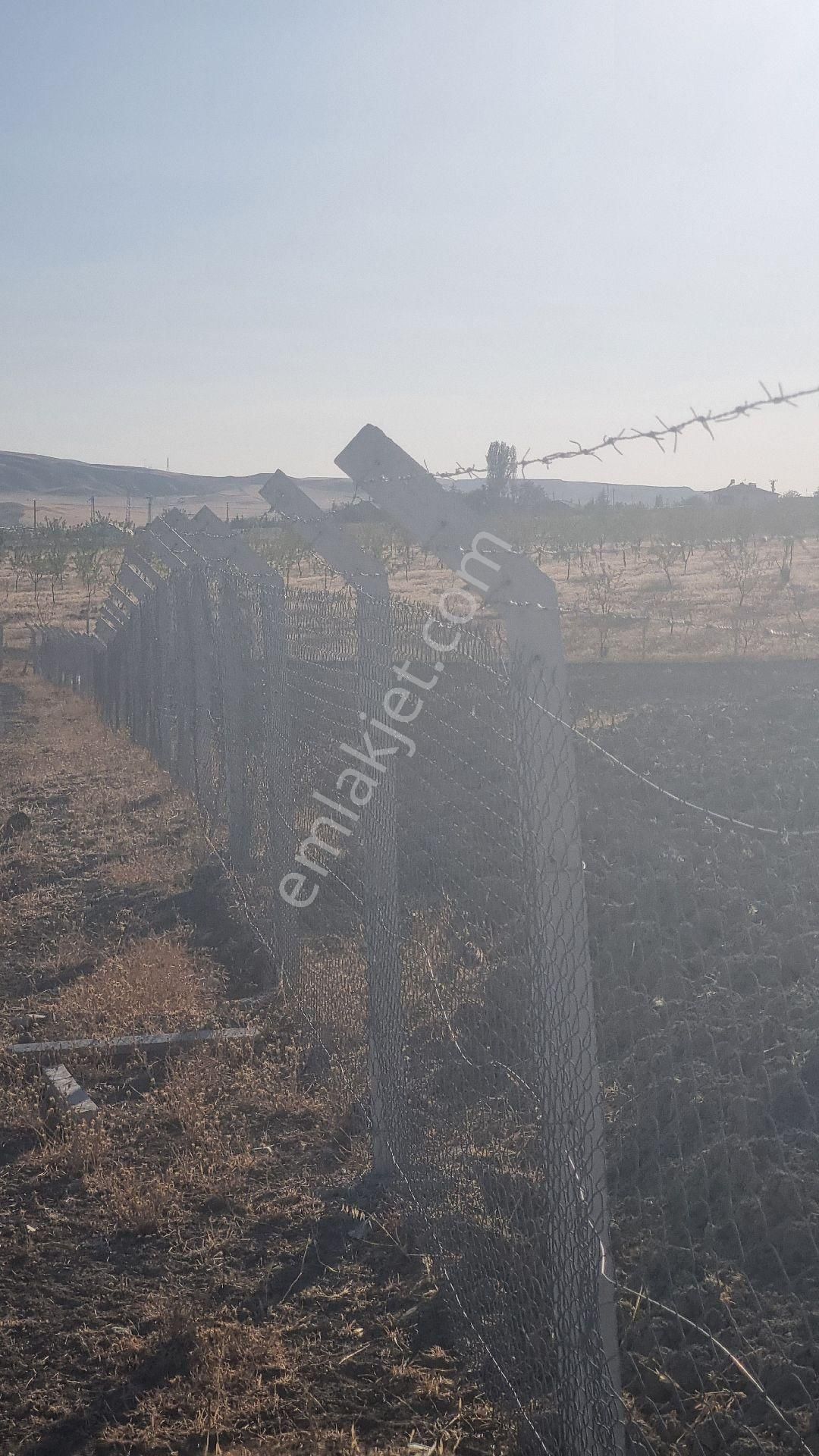Ankara Gölbaşı Bağiçi Mahallesinde - Görsel 30