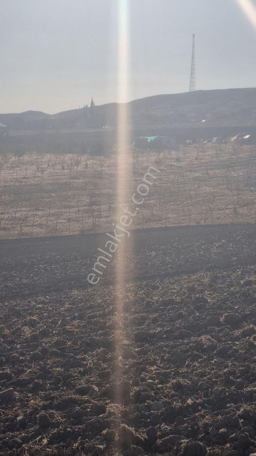 Ankara Gölbaşı Bağiçi Mahallesinde - Görsel 7