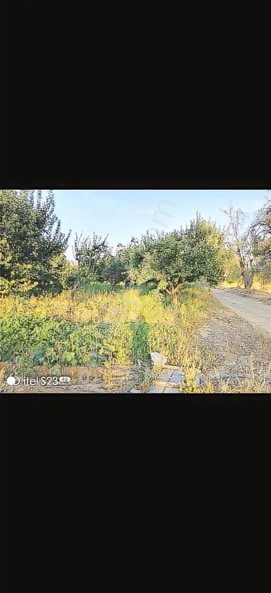 Serinhisar Köy Altında 5500 Metre İçinde Evi Resmi Suyu Yol Var - Görsel 2