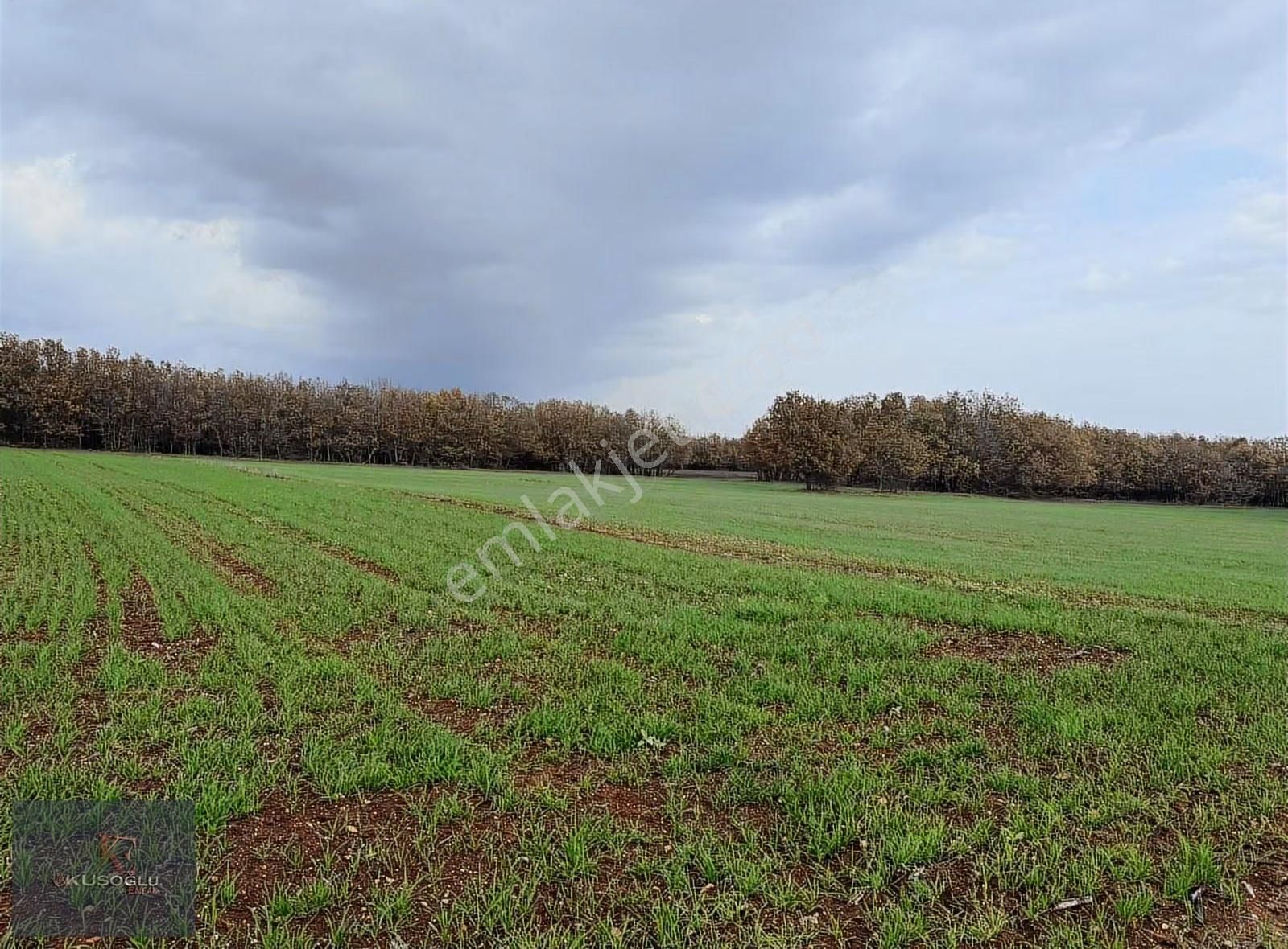 Vize Hasbuğa Köyünde Yola Cephe Satılık Tarla - Görsel 18