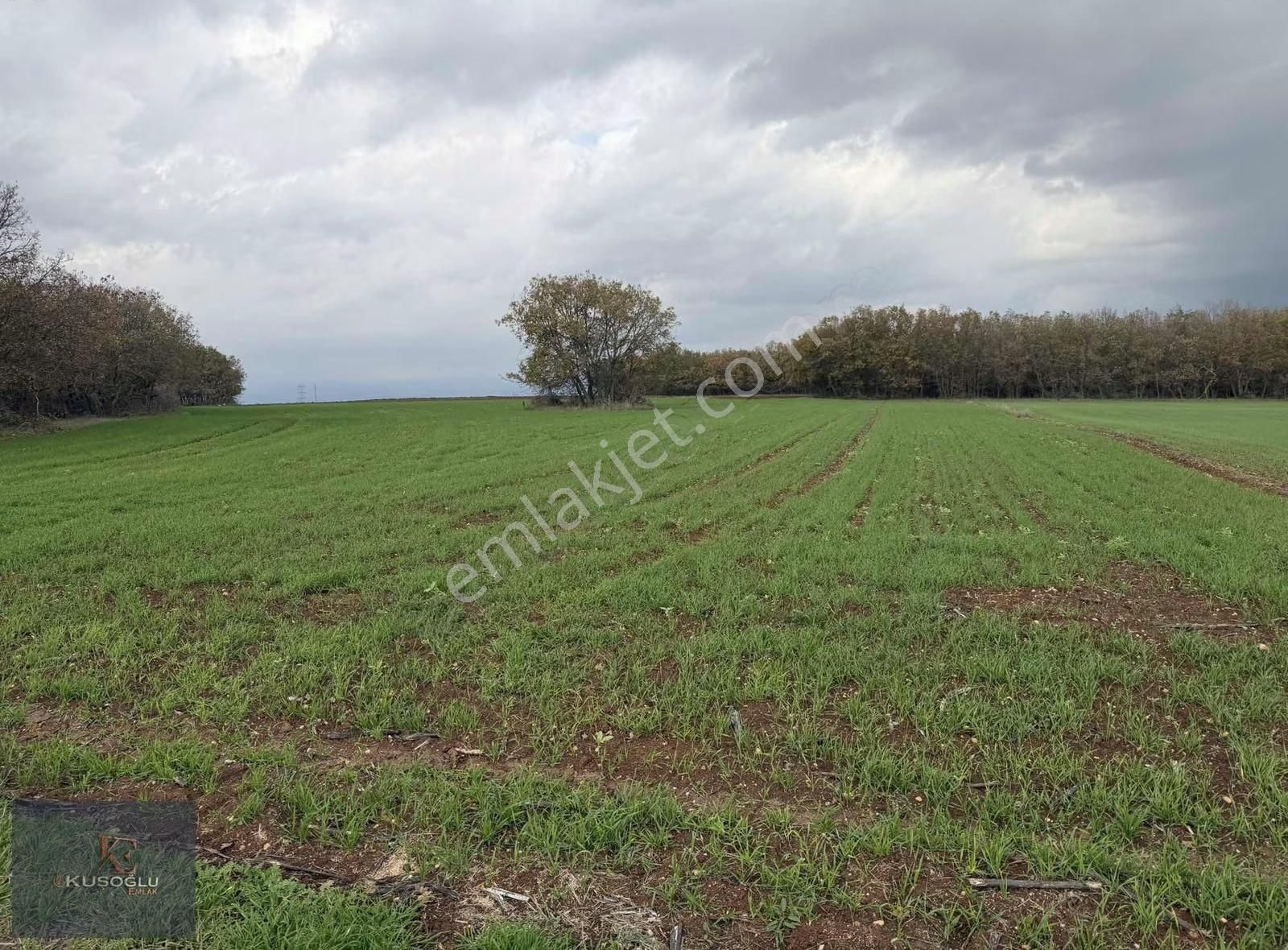 Vize Hasbuğa Köyünde Yola Cephe Satılık Tarla - Görsel 29