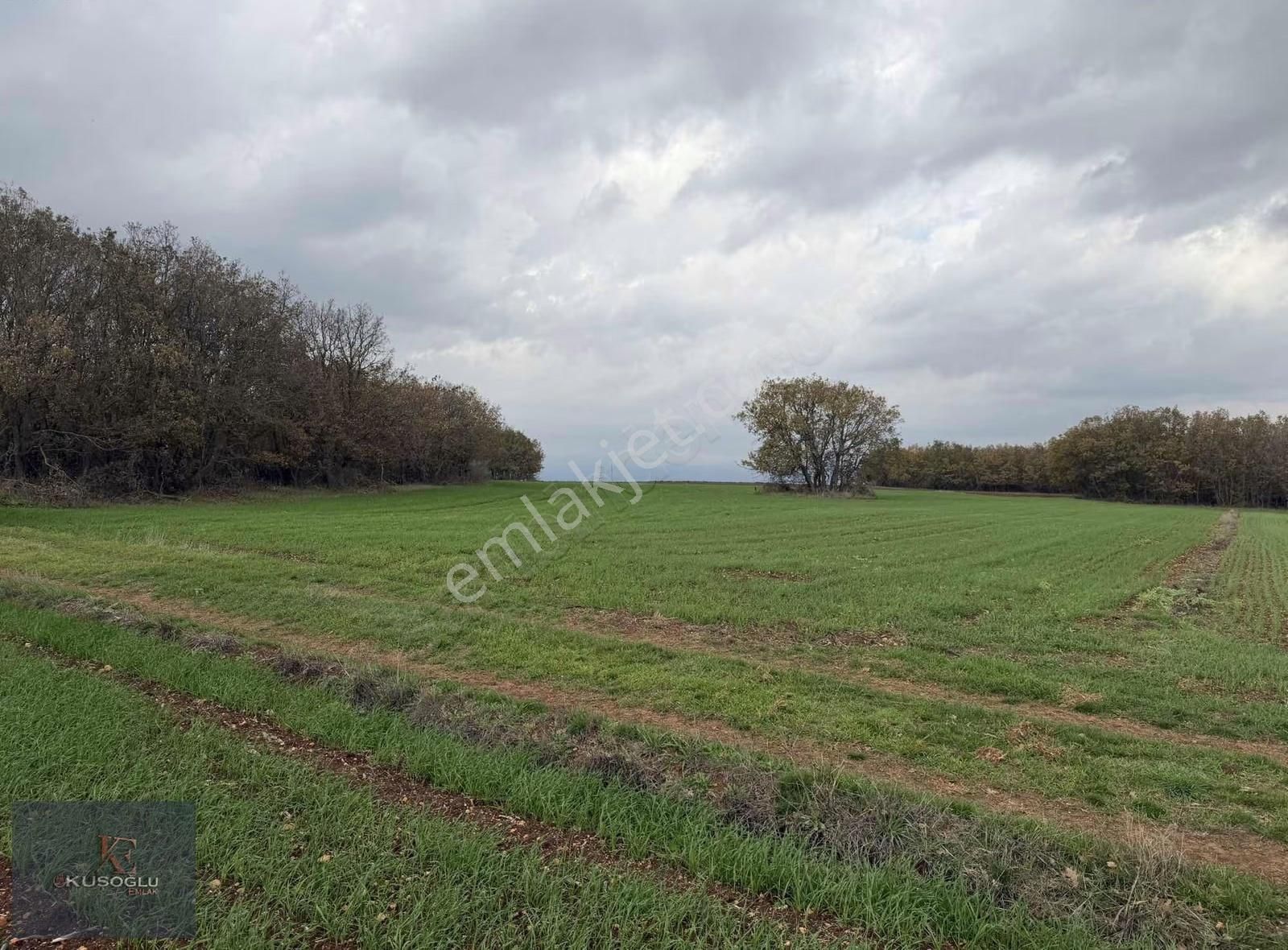 Vize Hasbuğa Köyünde Yola Cephe Satılık Tarla - Görsel 10