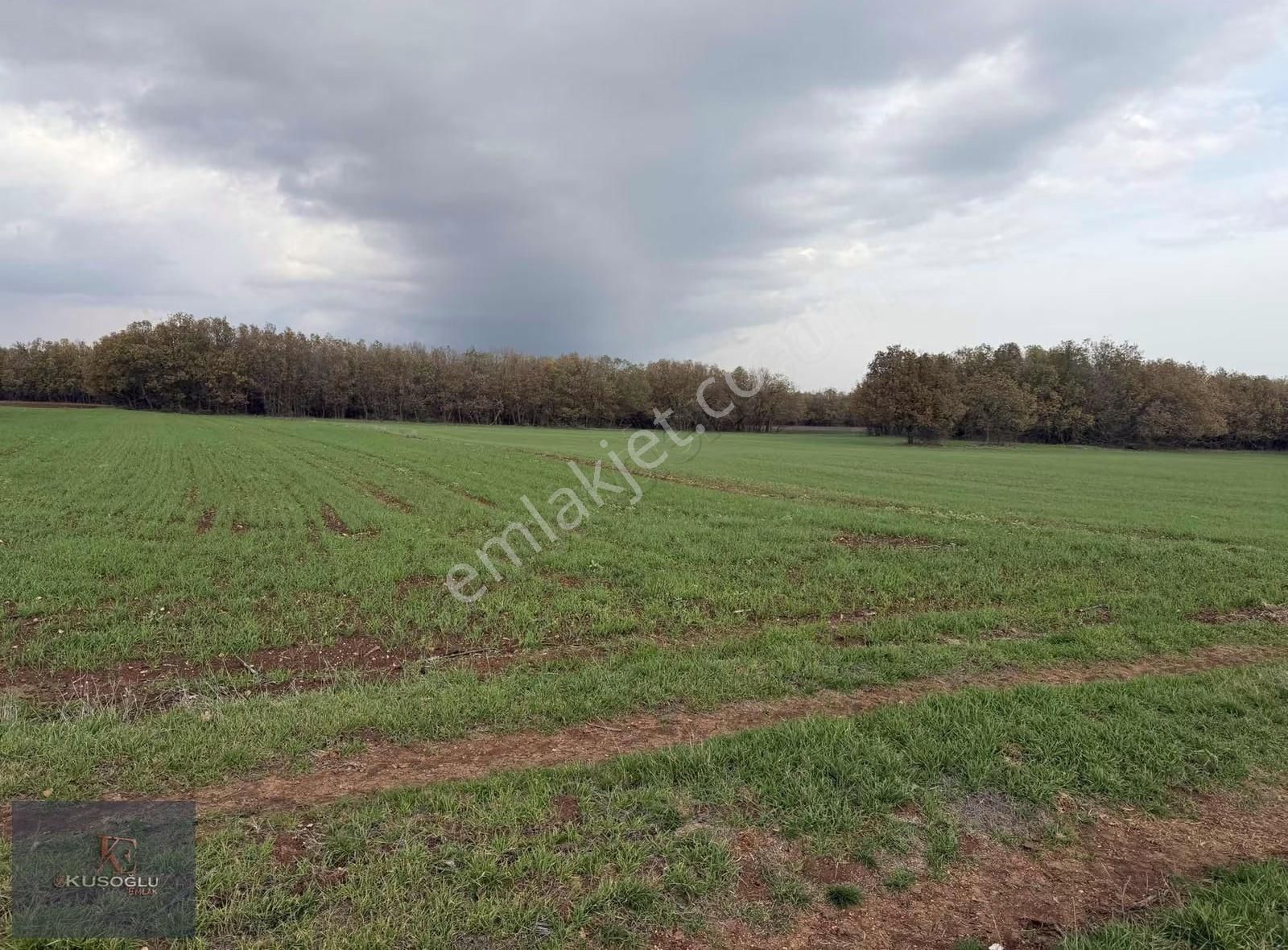 Vize Hasbuğa Köyünde Yola Cephe Satılık Tarla - Görsel 22