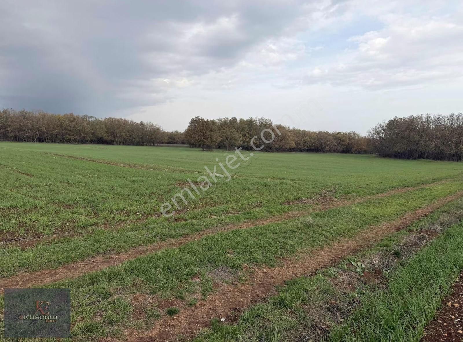Vize Hasbuğa Köyünde Yola Cephe Satılık Tarla - Görsel 28