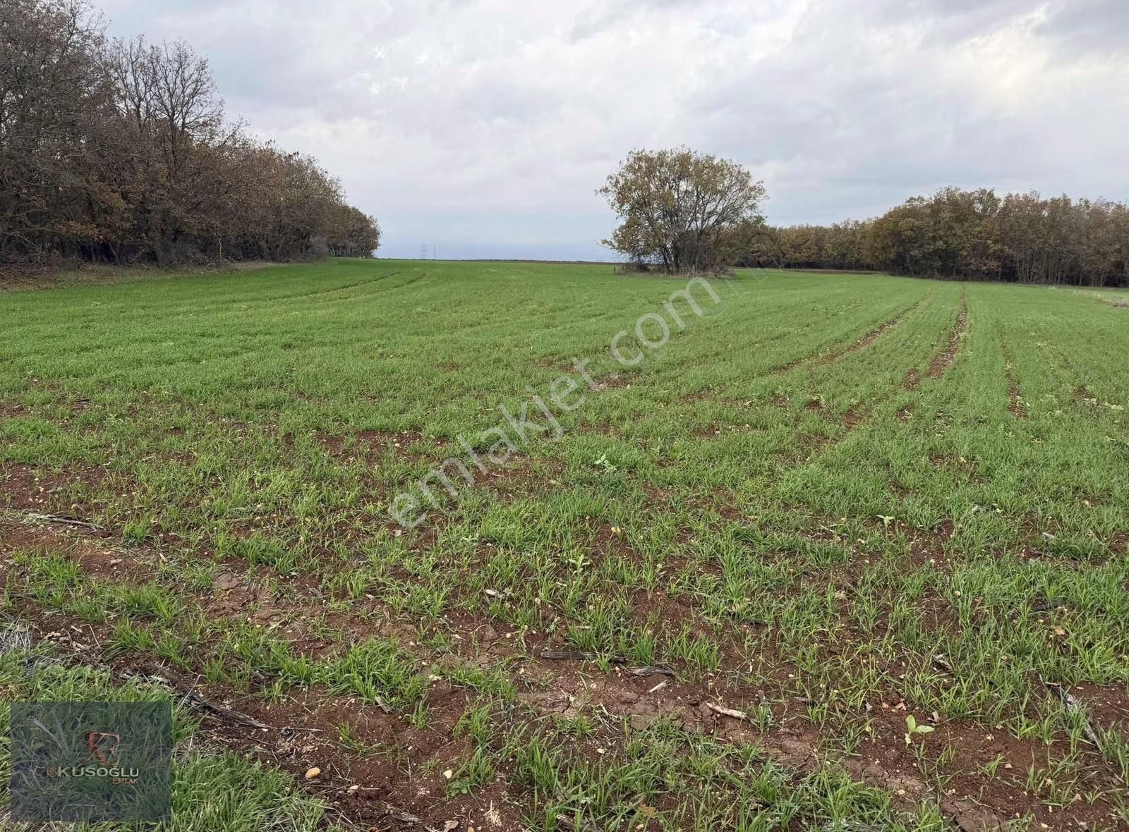 Vize Hasbuğa Köyünde Yola Cephe Satılık Tarla - Görsel 7