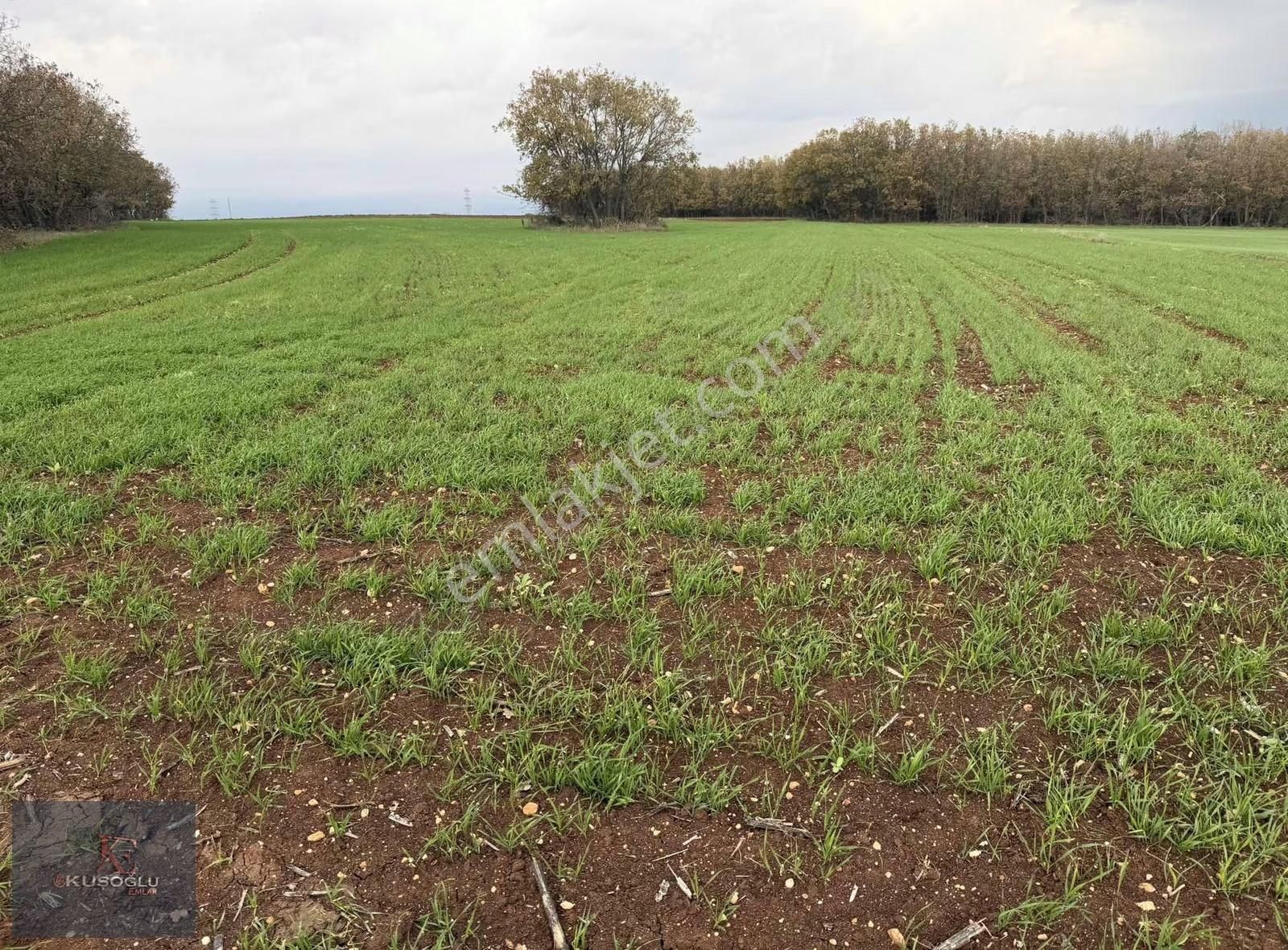 Vize Hasbuğa Köyünde Yola Cephe Satılık Tarla