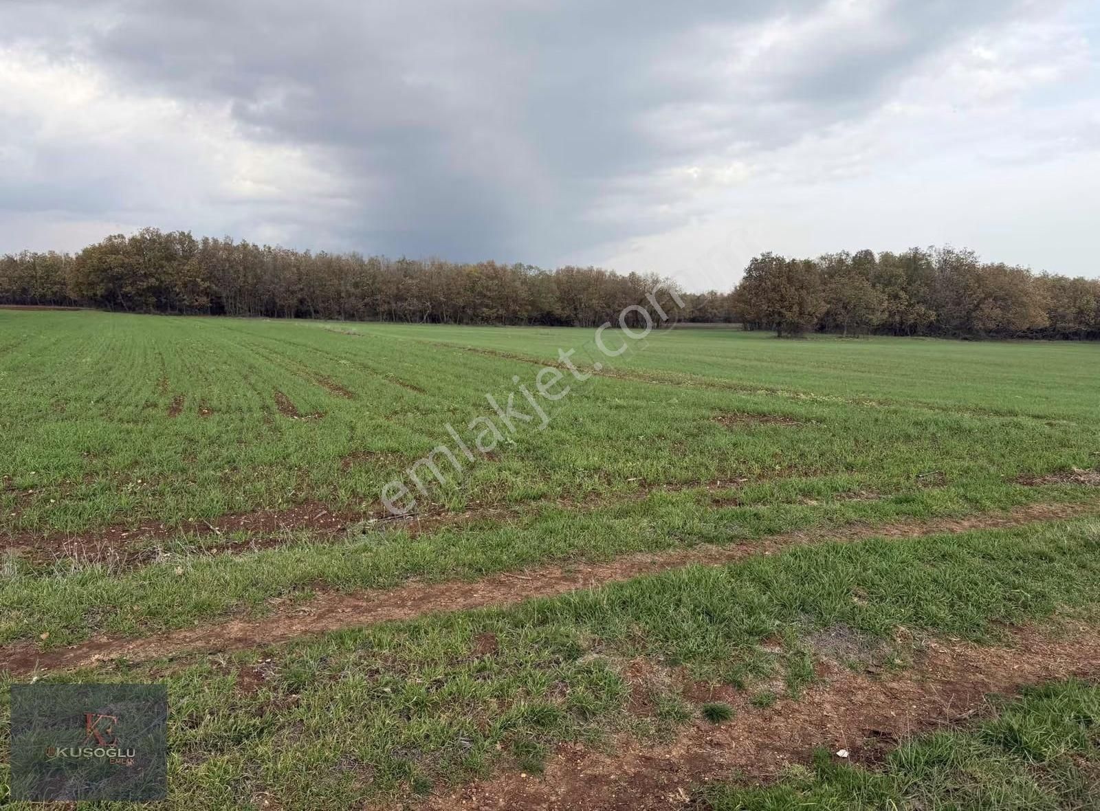 Vize Hasbuğa Köyünde Yola Cephe Satılık Tarla - Görsel 13