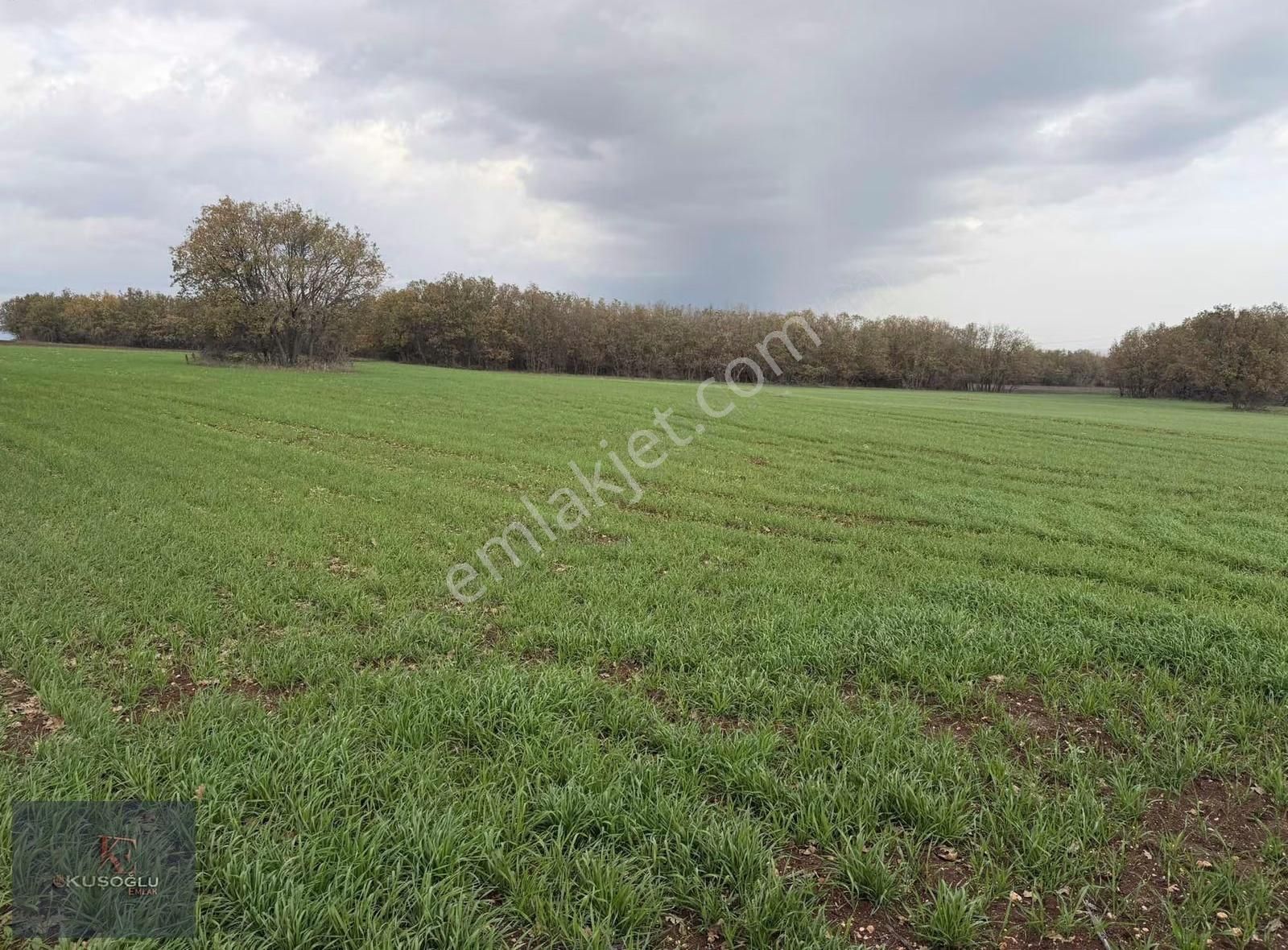 Vize Hasbuğa Köyünde Yola Cephe Satılık Tarla - Görsel 12