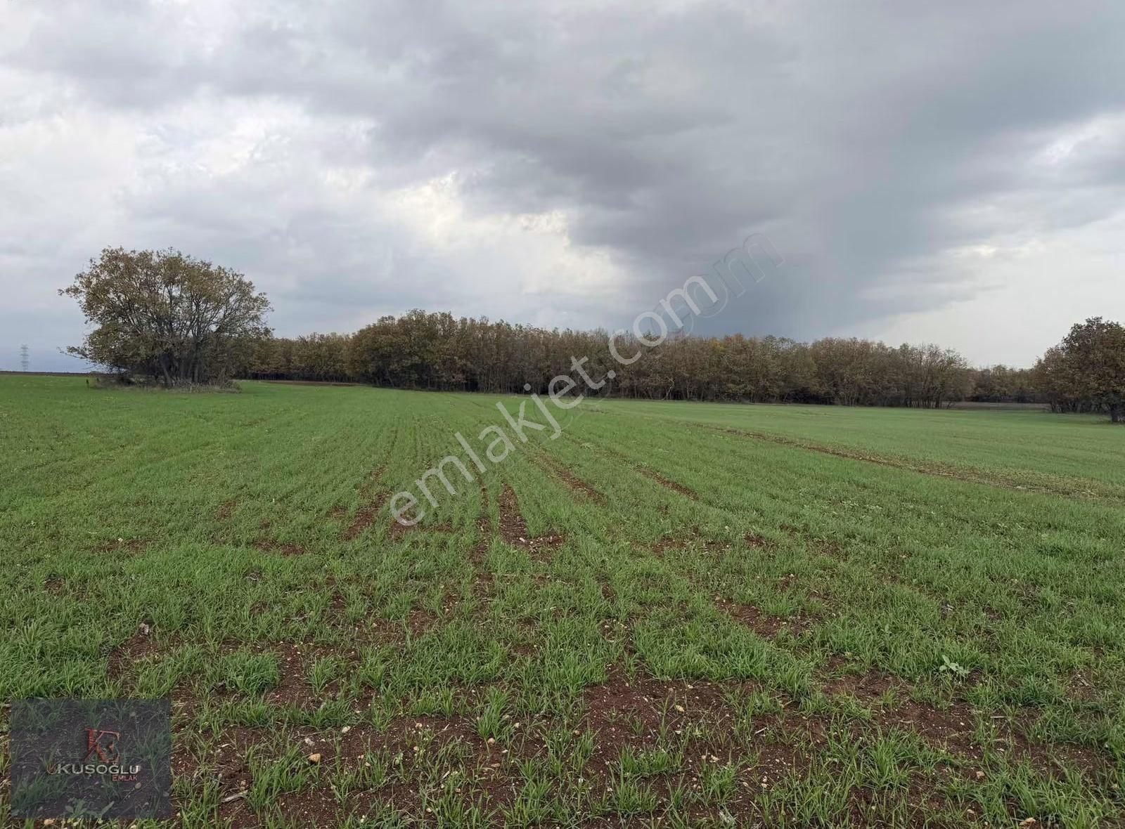 Vize Hasbuğa Köyünde Yola Cephe Satılık Tarla - Görsel 5