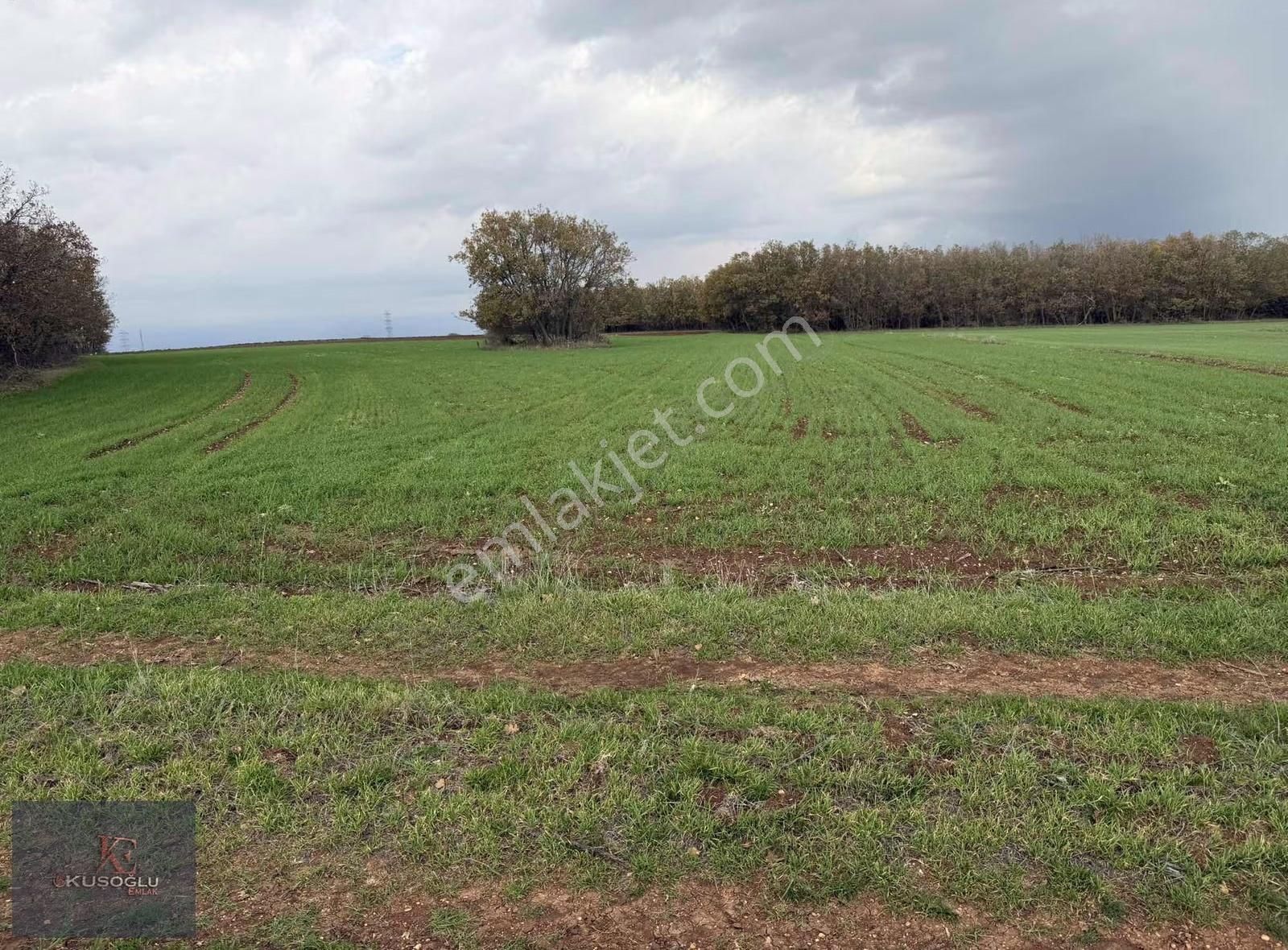 Vize Hasbuğa Köyünde Yola Cephe Satılık Tarla - Görsel 15