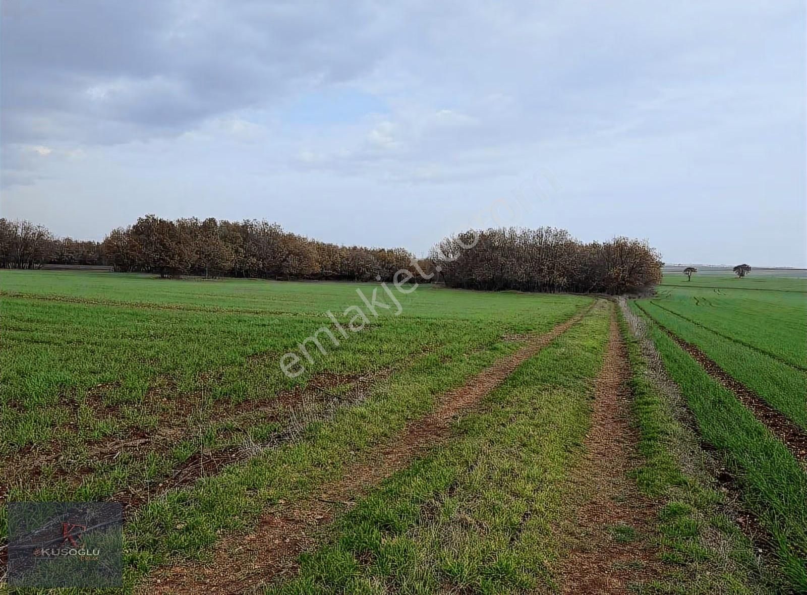 Vize Hasbuğa Köyünde Yola Cephe Satılık Tarla - Görsel 6