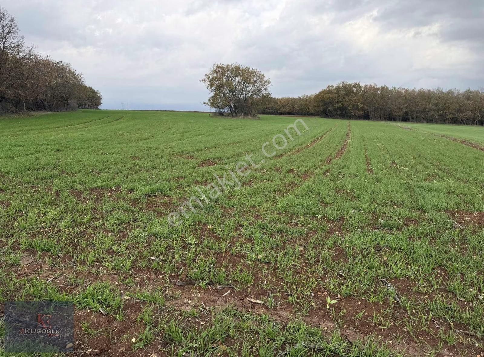 Vize Hasbuğa Köyünde Yola Cephe Satılık Tarla - Görsel 27