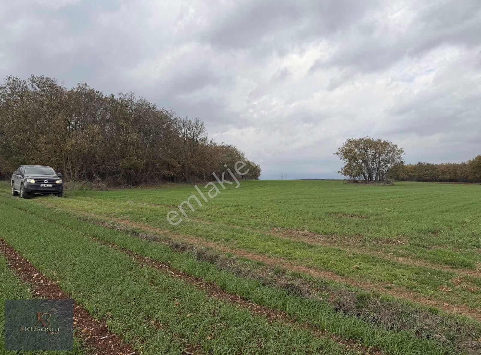 Vize Hasbuğa Köyünde Yola Cephe Satılık Tarla - Görsel 2