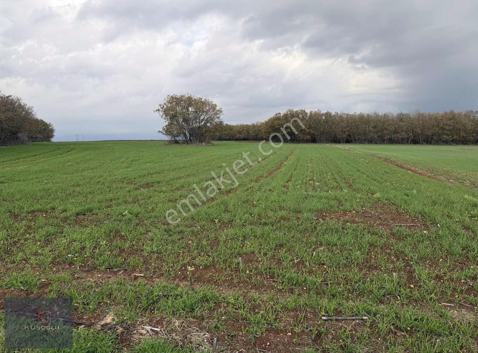 Vize Hasbuğa Köyünde Yola Cephe Satılık Tarla - Görsel 8