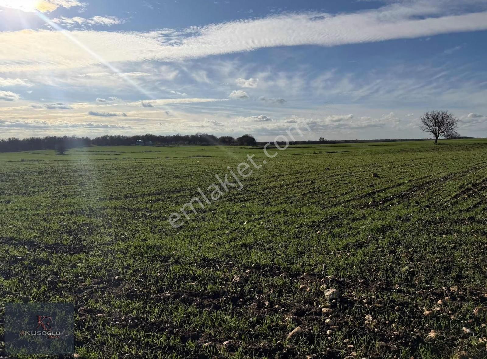 Vize Soğucak Köyünde Yola Cephe Satılık Tarla - Görsel 15