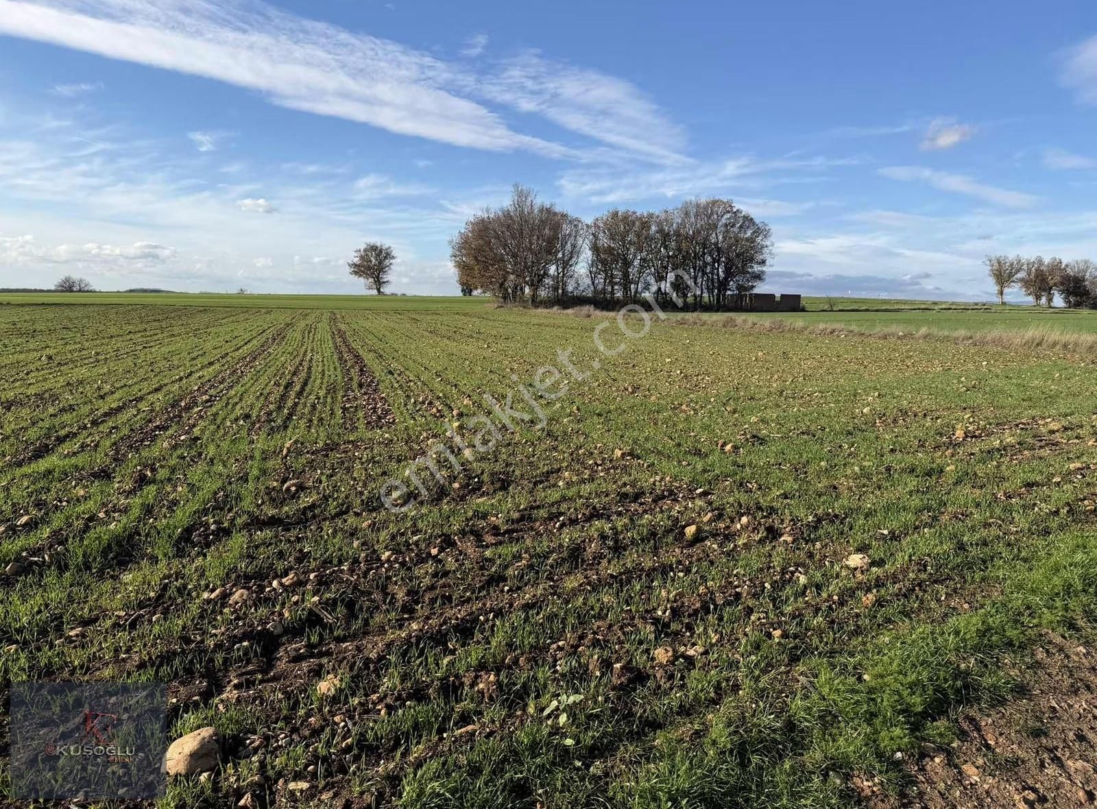 Vize Soğucak Köyünde Yola Cephe Satılık Tarla - Görsel 11