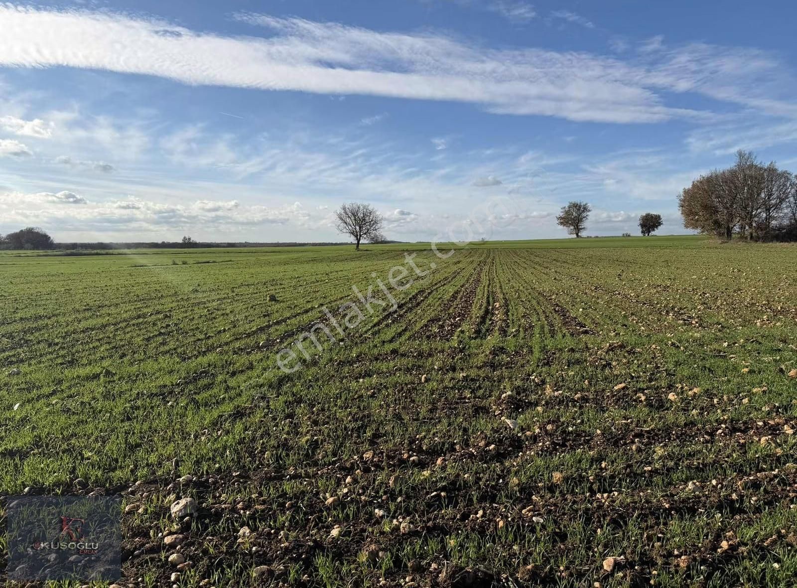 Vize Soğucak Köyünde Yola Cephe Satılık Tarla - Görsel 14