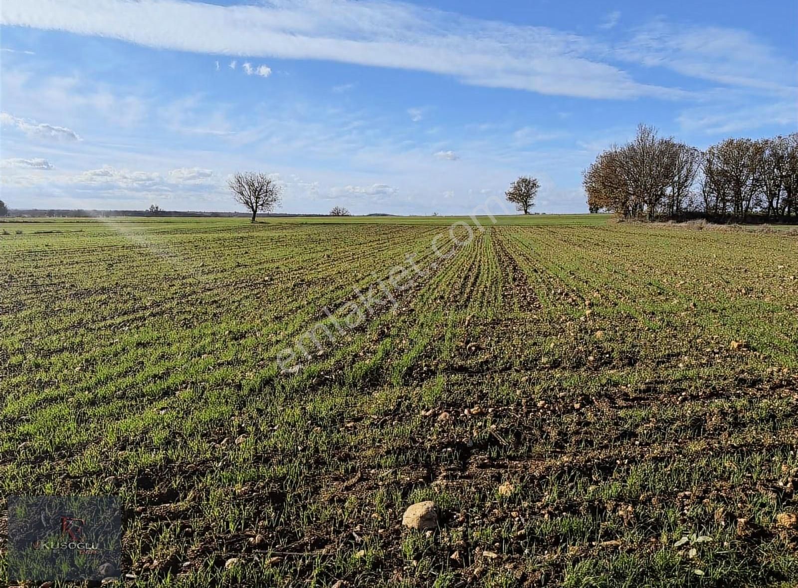 Vize Soğucak Köyünde Yola Cephe Satılık Tarla - Görsel 32
