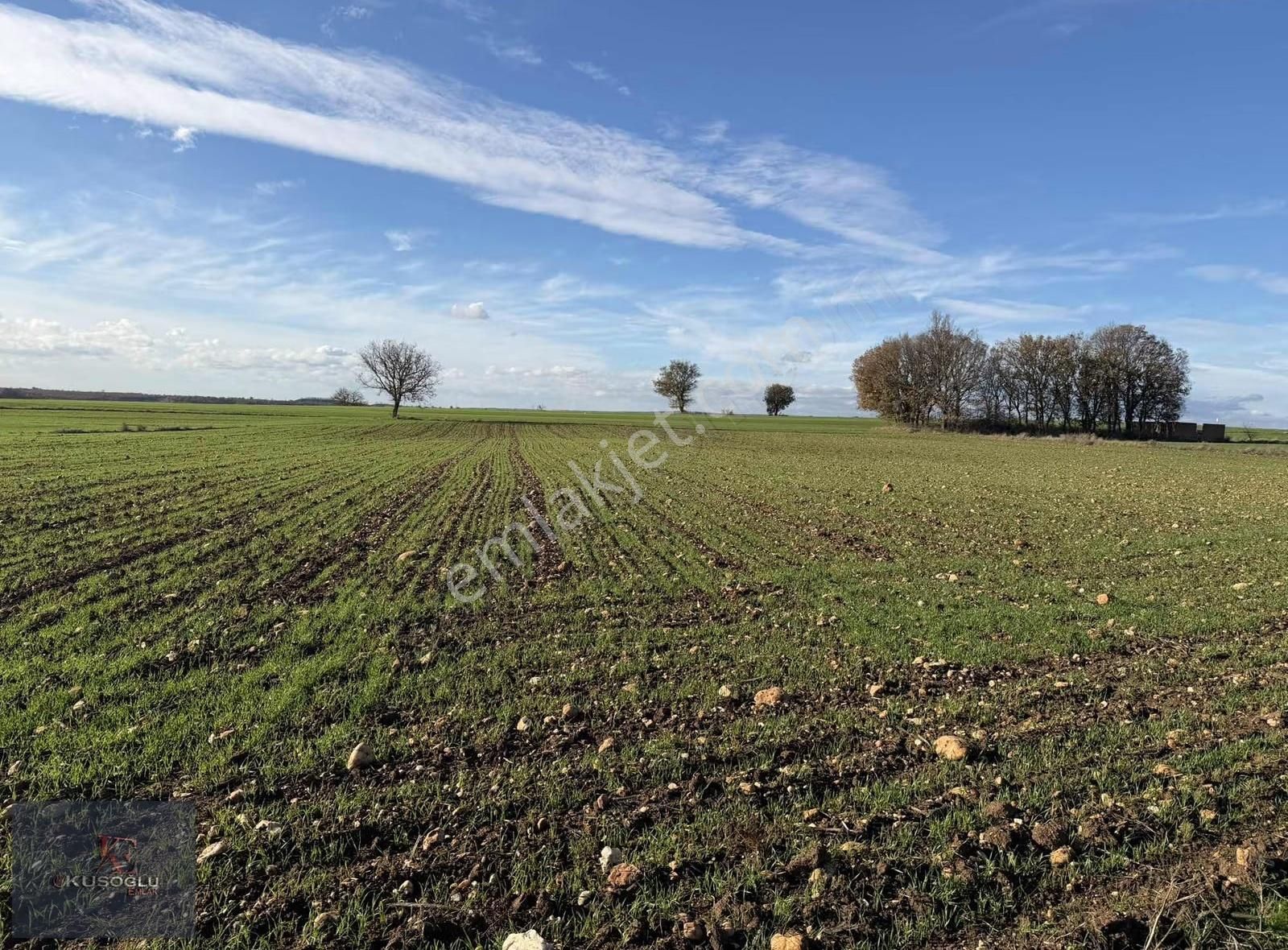 Vize Soğucak Köyünde Yola Cephe Satılık Tarla - Görsel 16