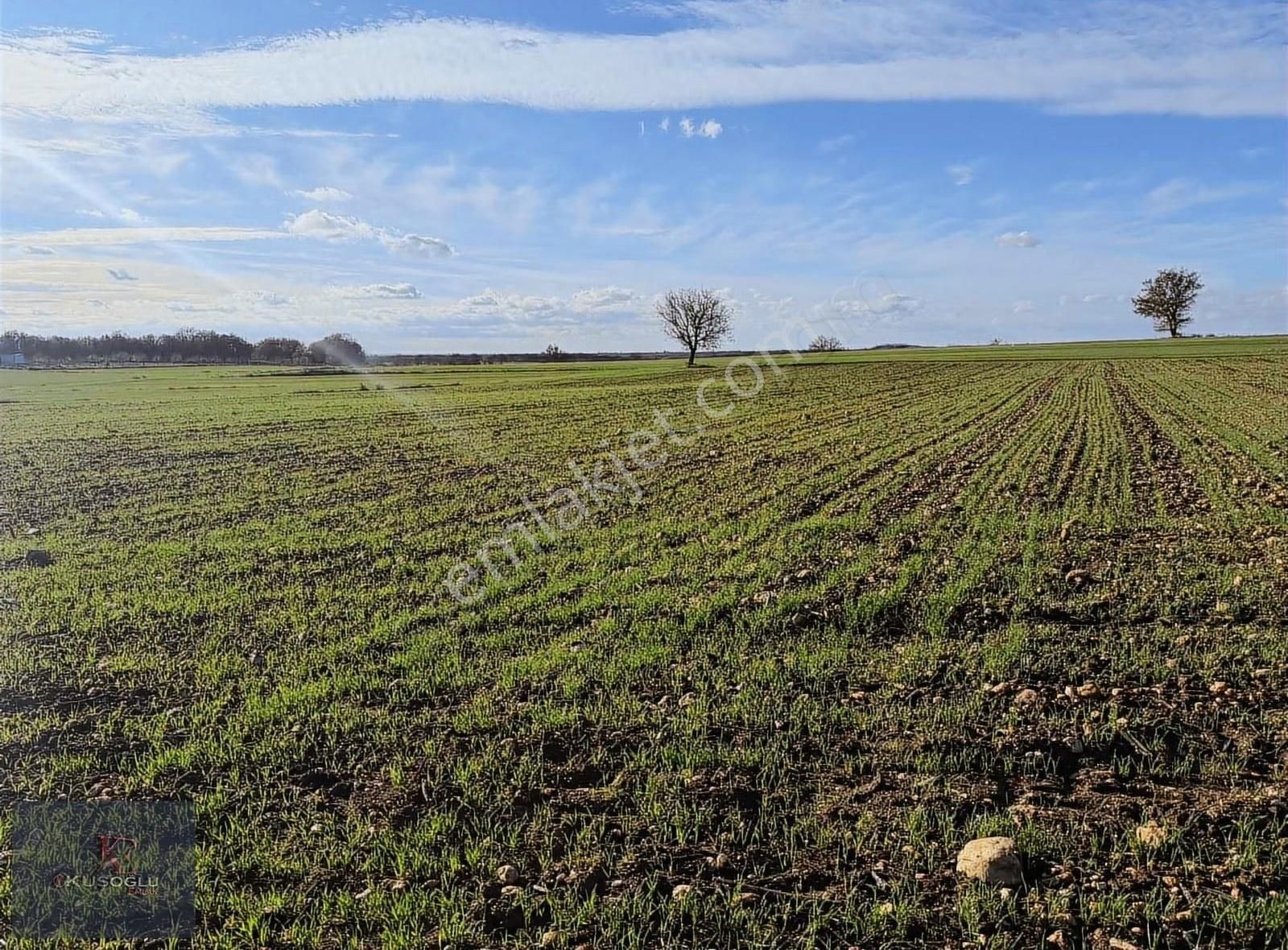 Vize Soğucak Köyünde Yola Cephe Satılık Tarla - Görsel 29
