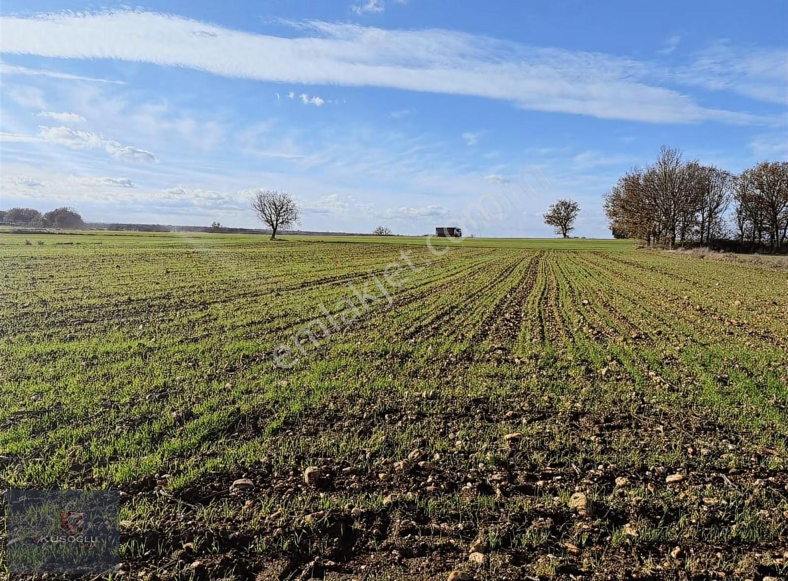 Vize Soğucak Köyünde Yola Cephe Satılık Tarla