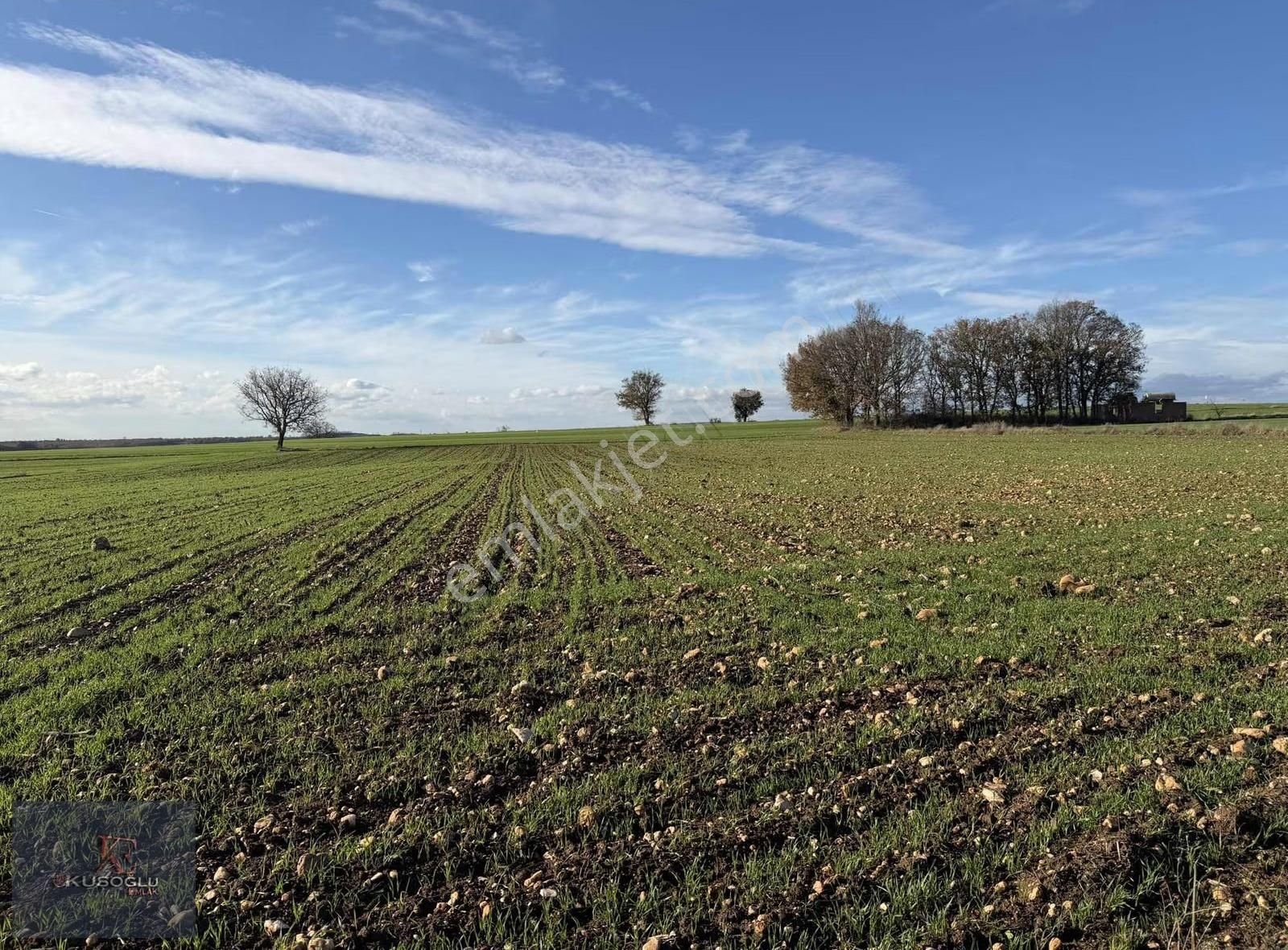 Vize Soğucak Köyünde Yola Cephe Satılık Tarla - Görsel 23