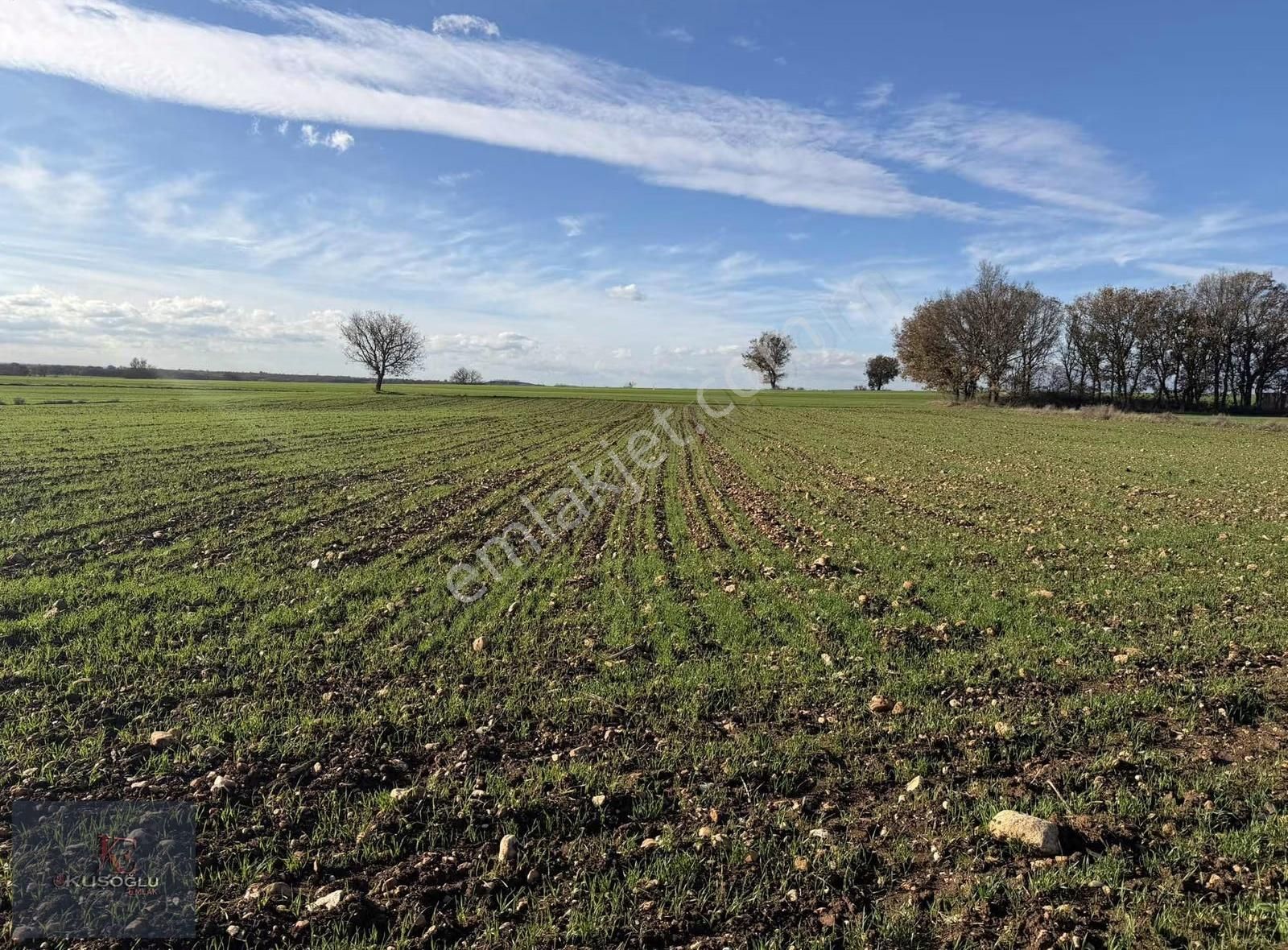 Vize Soğucak Köyünde Yola Cephe Satılık Tarla - Görsel 25