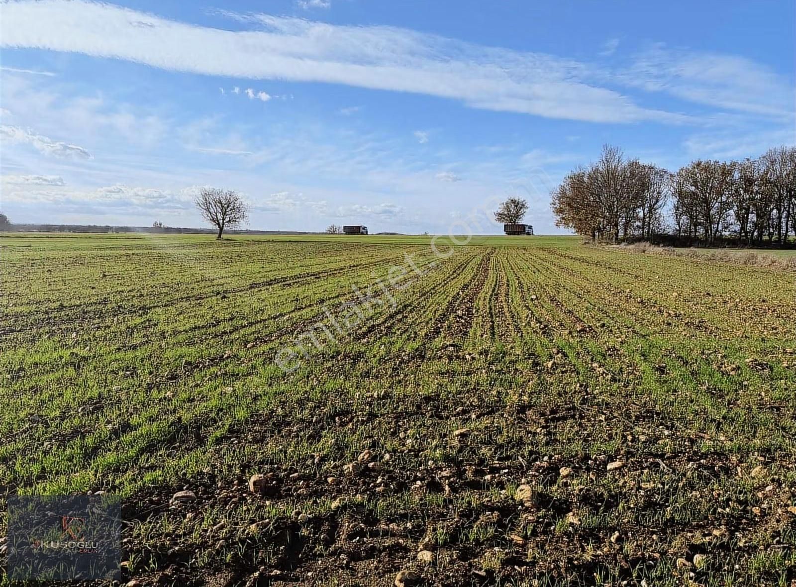 Vize Soğucak Köyünde Yola Cephe Satılık Tarla - Görsel 9