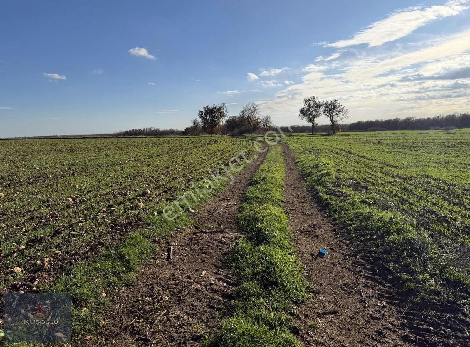 Vize Soğucak Köyünde Yola Cephe Satılık Tarla - Görsel 18