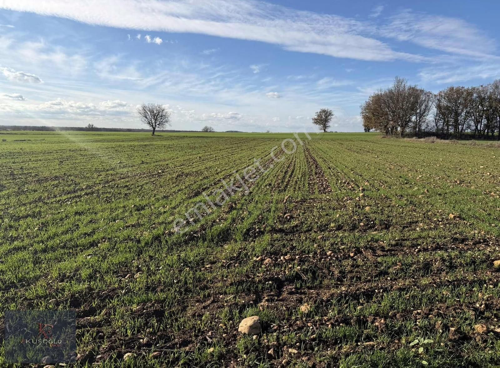 Vize Soğucak Köyünde Yola Cephe Satılık Tarla - Görsel 17
