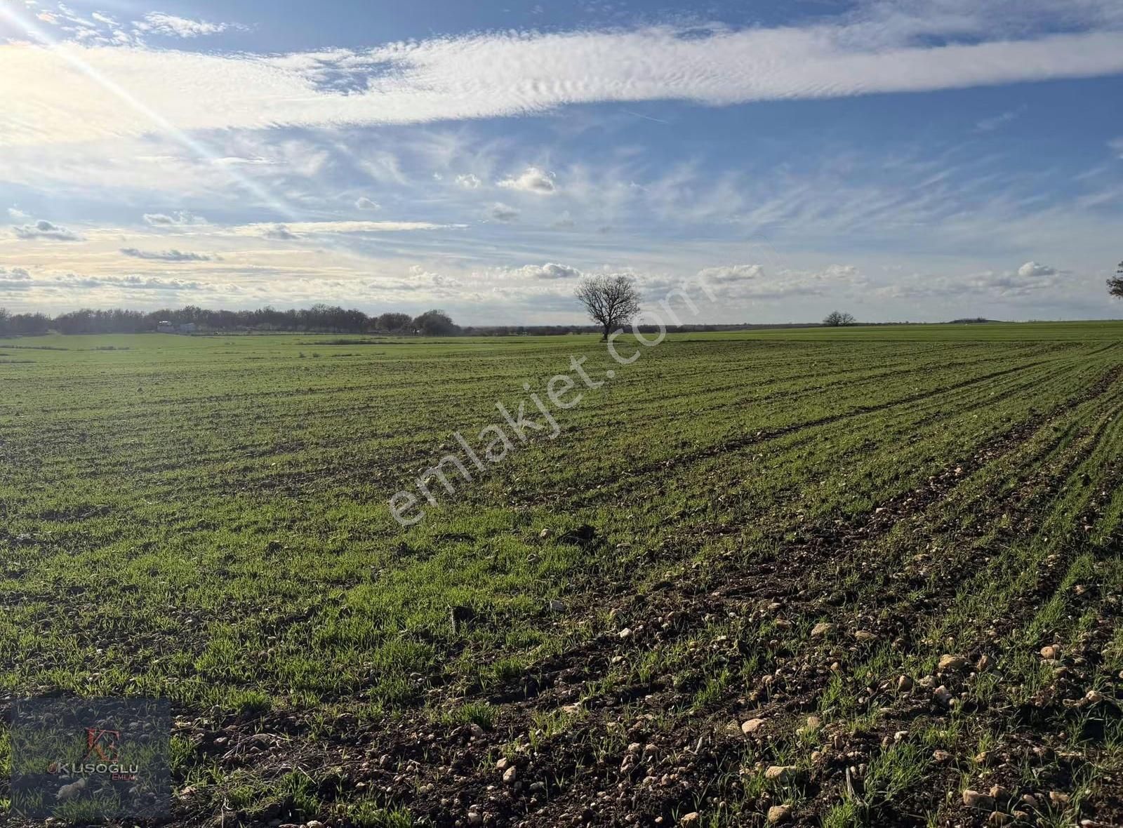 Vize Soğucak Köyünde Yola Cephe Satılık Tarla - Görsel 21
