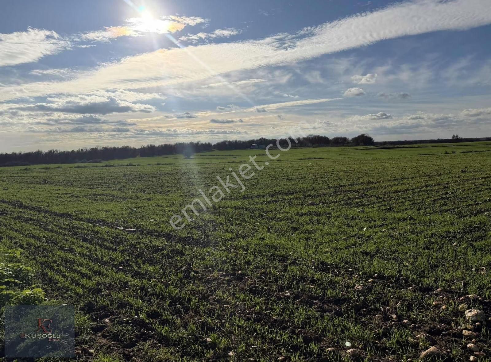 Vize Soğucak Köyünde Yola Cephe Satılık Tarla - Görsel 22