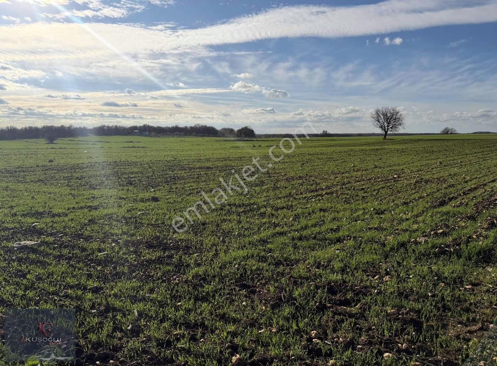 Vize Soğucak Köyünde Yola Cephe Satılık Tarla - Görsel 30