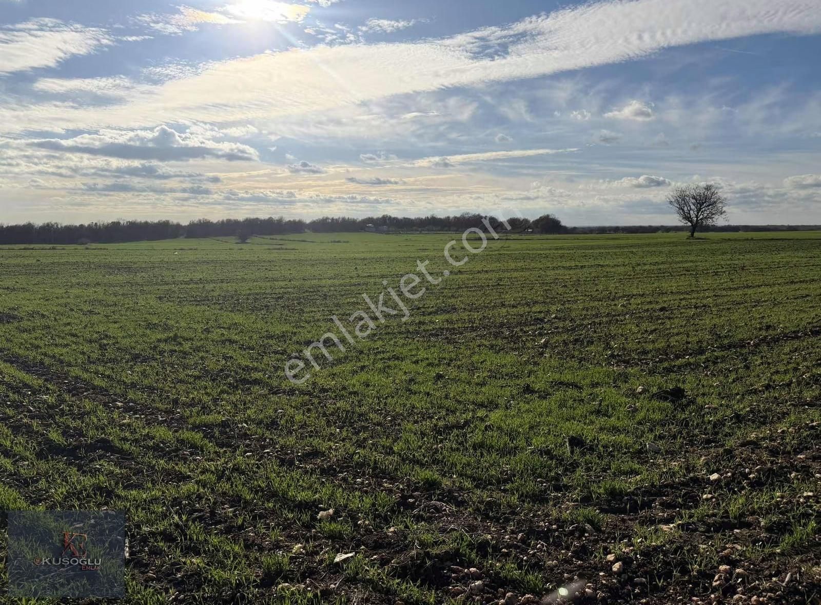 Vize Soğucak Köyünde Yola Cephe Satılık Tarla - Görsel 27