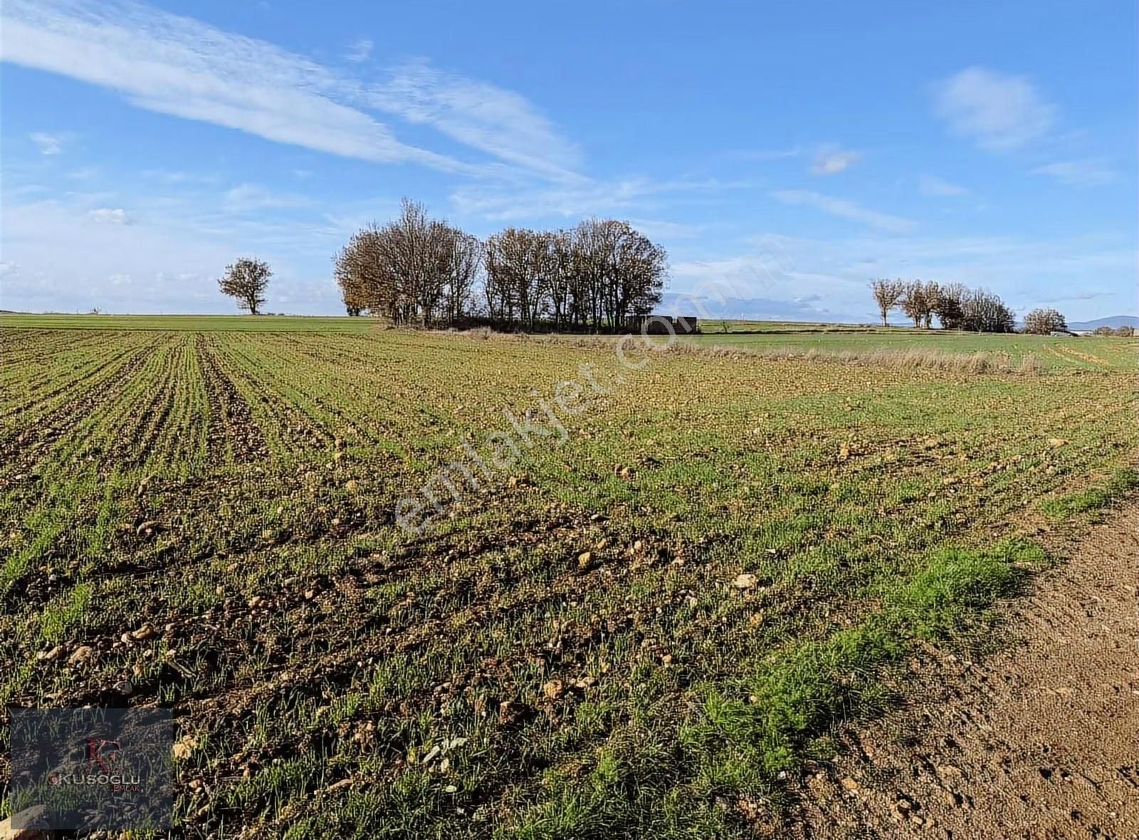 Vize Soğucak Köyünde Yola Cephe Satılık Tarla - Görsel 33
